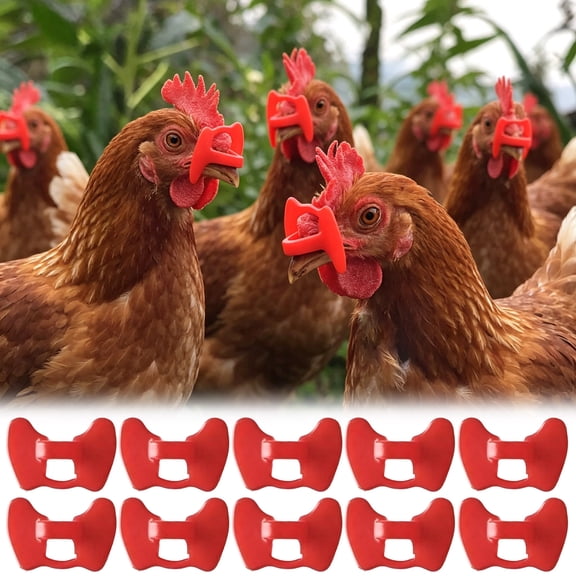 Needleless Repetitive Anti Injury Chicken Peeper,for Pheasant Poultry Blinders Spectacles Anti Pecking Eye Glasses Tool for Chicken Pheasant Eye Protector