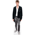thumbnail image 1 of Neels Visser (Stripes) Life Size Cutout. Standee., 1 of 7