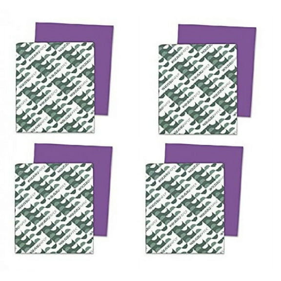 Neenah Paper Astrobrights Colored Card Stock 250 Sheets, Gravity Grape (Set of 4)