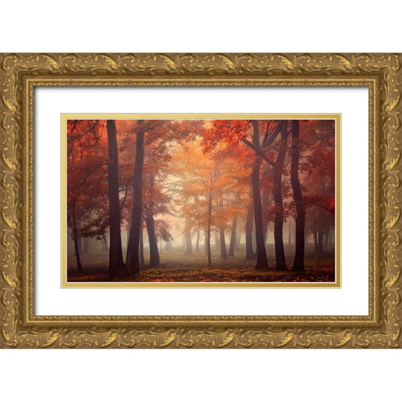 Neer, Ildiko 18x12 Gold Ornate Wood Framed with Double Matting Museum Art Print Titled - Feel