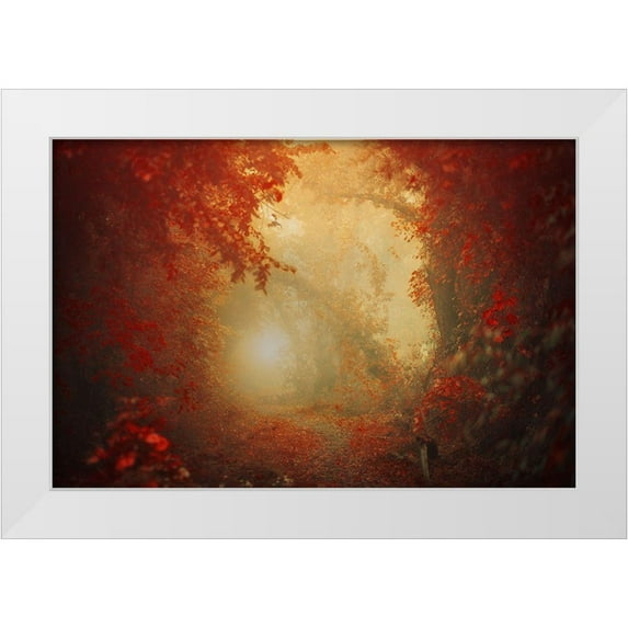 Neer, Ildiko 24x17 White Modern Wood Framed Museum Art Print Titled - Personal Journey