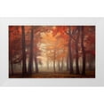 thumbnail image 1 of Neer, Ildiko 32x21 White Modern Wood Framed Museum Art Print Titled - Feel, 1 of 4