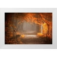 thumbnail image 1 of Neer, Ildiko 32x23 White Modern Wood Framed Museum Art Print Titled - Waiting To Fall, 1 of 4