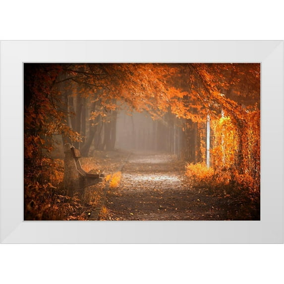 Neer, Ildiko 32x23 White Modern Wood Framed Museum Art Print Titled - Waiting To Fall
