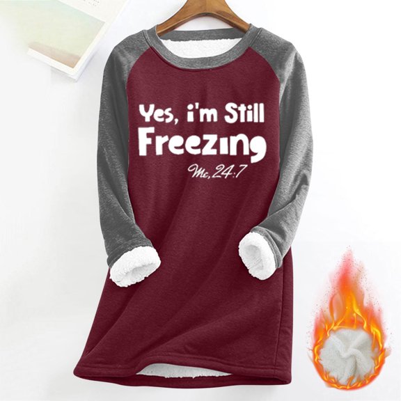 Neewe Women's Thick Fleece Fall Sweatshirts Crewneck Long Sleeve Winter Casual Pullover Soft Warm Shirts Tops