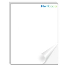 100 Sheets / 3000 Fluorescent FBA and Word Compatible Size Address