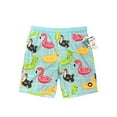 thumbnail image 1 of Neff Party Float Graphic Boys Swim Shorts, Sizes 6-18, 1 of 3
