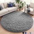 thumbnail image 1 of Nefoso 4ft x 4ft Round Area Rug, Soft Fluffy Circle Rug Shag Round Rugs for Living Room Bedroom Indoor Home Decor, Gray, 1 of 11