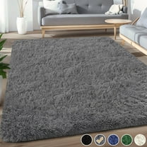 Nefoso Shag Area Rug, 5ft x 7ft Soft Fluffy Area Rugs for Living Room Bedroom Decor Carpet, Dark Gray