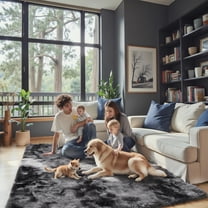 Shag Area Rug, Soft Fluffy Area Rugs for Living Room Bedroom Decor Carpet, Light Gray