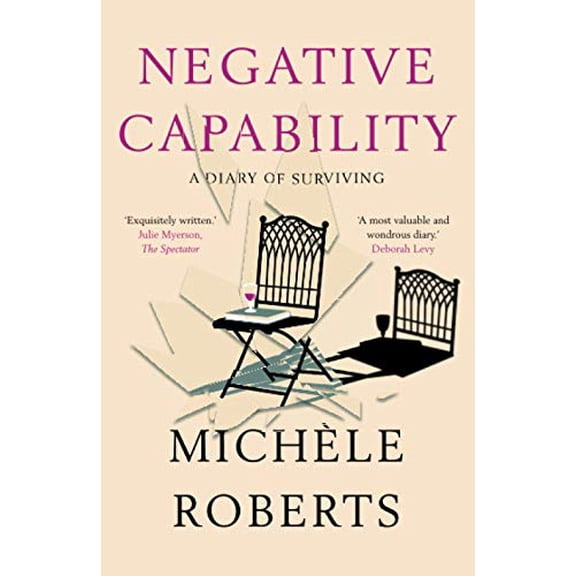 Pre-Owned Negative Capability: A Diary of Surviving Paperback