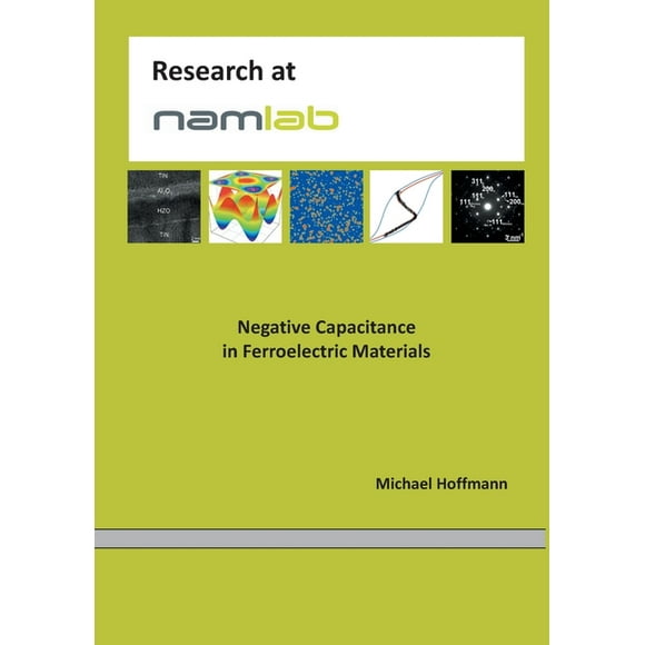 Negative Capacitance in Ferroelectric Materials (Paperback)