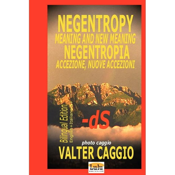 Negentropy Meaning and New Meaning Negentropia Accezione, Nuove Accezioni (Paperback) by Valter Caggio