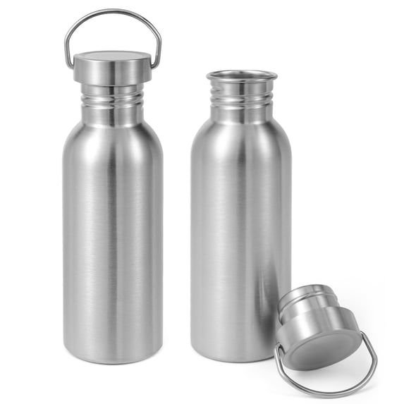 Neihepal 22oz Single Wall Stainless Steel Water Bottle with Handle, BPA Free, 2 Pack