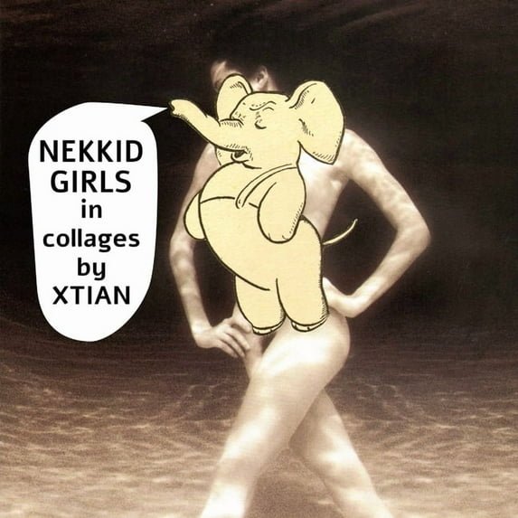 Nekkid Girls in collages by Xtian (Paperback)