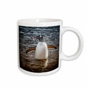 Neko Harbor, Antarctica. Gentoo Penguin standing in the water. 11oz Mug mug-225325-1