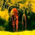 thumbnail image 1 of Nekrasov - Lust Of Consciousness - Music & Performance - CD, 1 of 1
