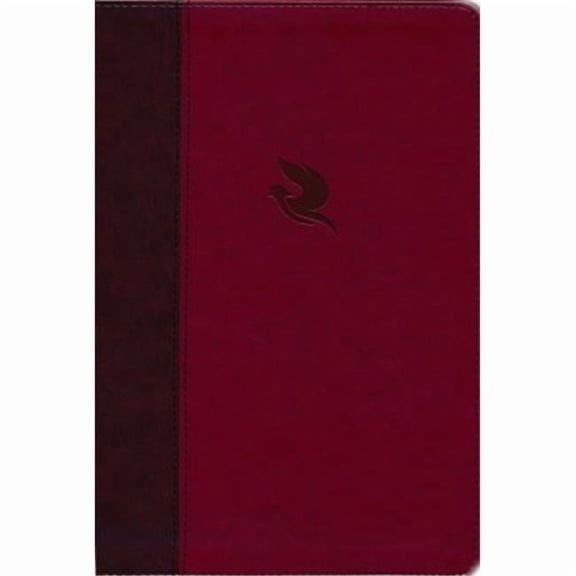 Nelson Bibles NKJV Spirit-Filled Life Bible - Third Edition - Comfort Print, Burgundy Leathersoft
