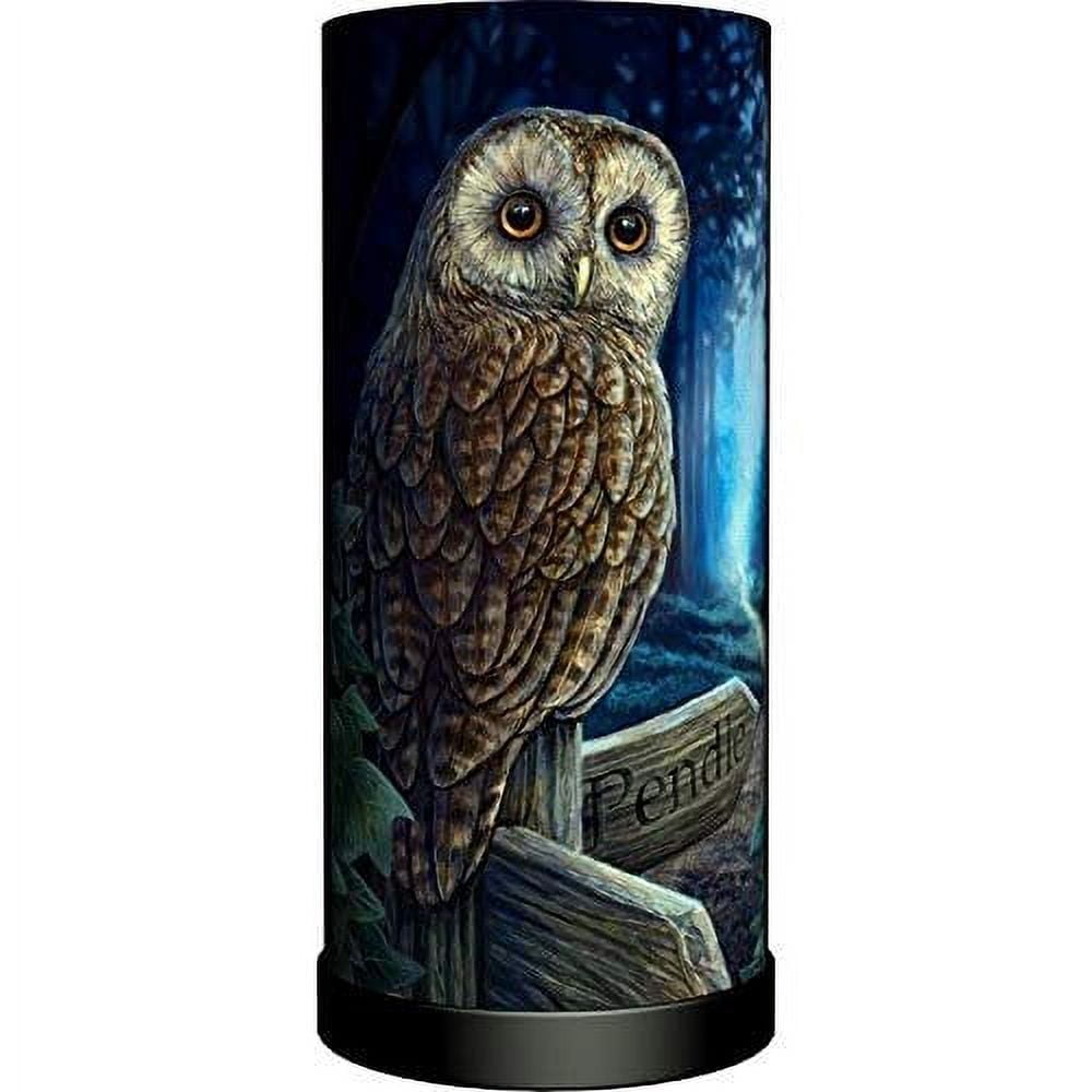 Nemesis Now Way of The Witch Owl Bedside Lamp Desk Light by Lisa Parker