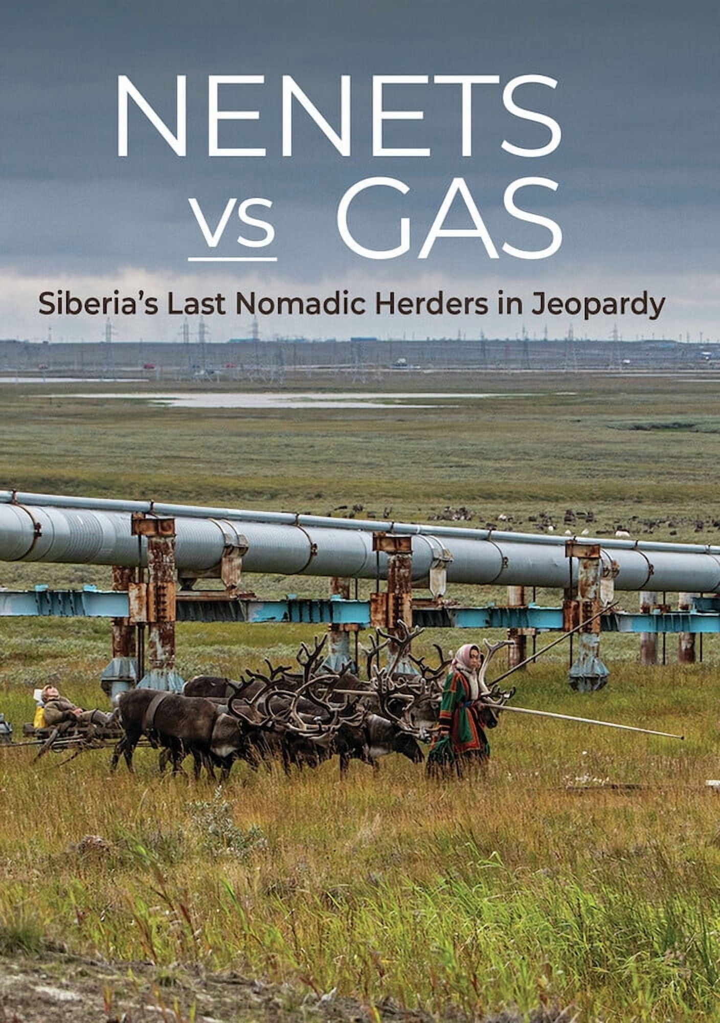 Nenets vs Gas: Siberia's Last Nomadic Herders In Jeopardy