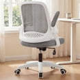 thumbnail image 1 of NEO CHAIR Office Chair, Flip-up Padded Armrests Desk Chair, Ergonomic Back Support, Gray, 1 of 9