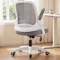 thumbnail image 1 of NEO CHAIR Office Desk Gaming Ergonomic Computer Chair with Lumbar Back Support Adjustable Height Swivel Rolling Wheels Flip-up Arms Mesh Chair for Home Vanity (Grey), 1 of 9
