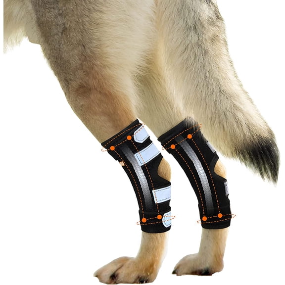 NeoAlly Super Supportive Dog Braces for Rear Hock Joint with Dual Metal Spring Strips Stabilize Canine Hind Legs from Wound Injury Sprains Arthritis (Small Pair)