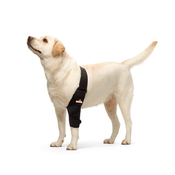 Neoally Dog Elbow Brace Protector Pads for Canine Elbow and Shoulder Support Elbow Hygroma, Dysplasia, Osteoarthritis, Elbow Calluses, Pressure Sores and Shoulder Dislocation (Right Large)