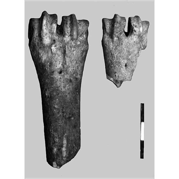 Neolithic Settlement of Knossos in Crete : New Evidence for the Early Occupation of Crete and the Aegean Islands