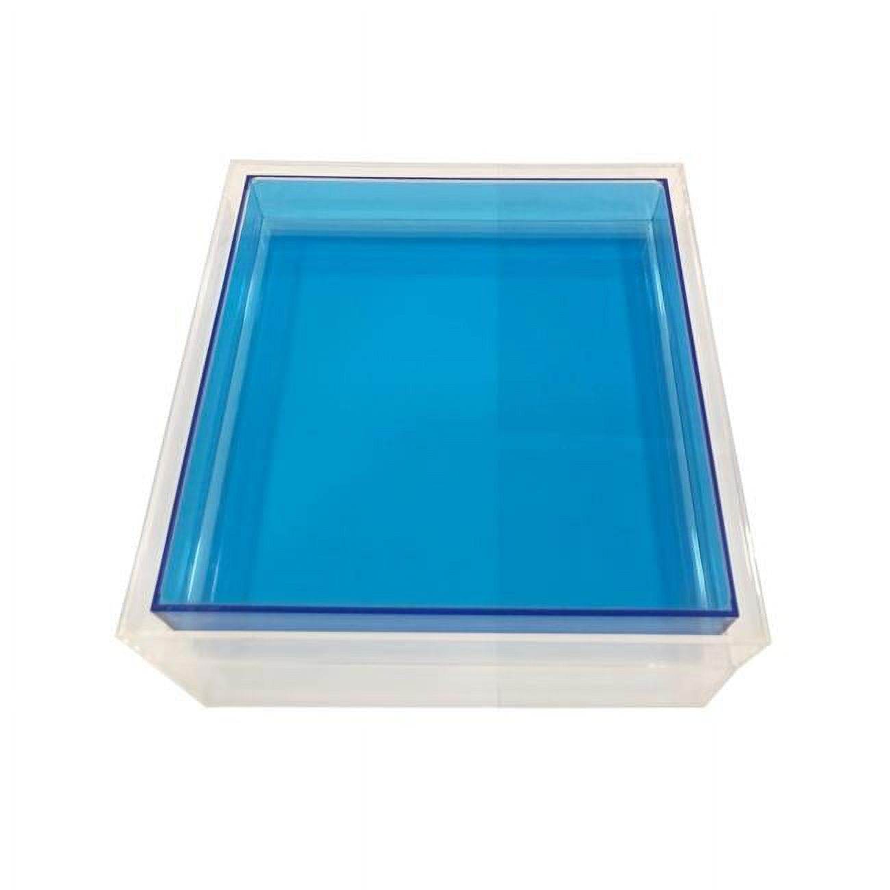 Neon Encased Lucite Tray, Blue
