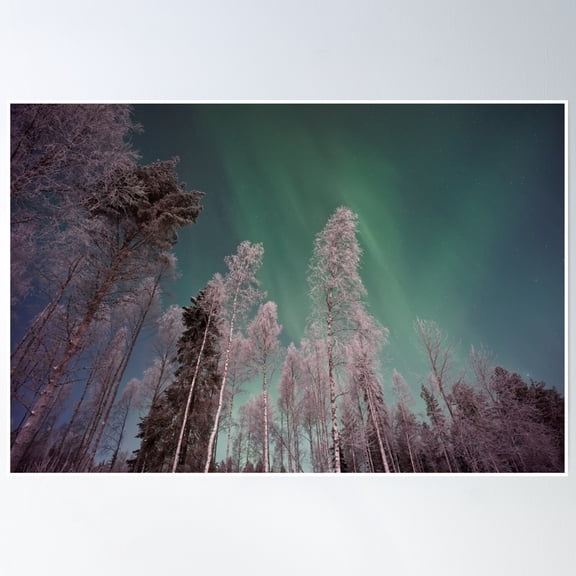 Neon Green Lights Alaska Night Scenic Northern Lights Snow Pines Forest Poster Wall Art, Modern Wall Decor, 8x12 UNFRAMED
