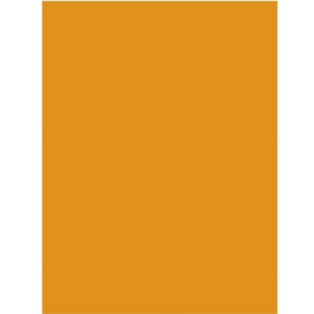 Ddi Neon Orange PosterBoard Neon Orange PosterBoard - 22-in x 28