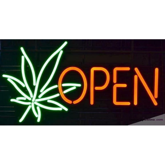 Neon Signs for Wall Decor 16x20 Hemps Open Leaf Sign Light Man Cave Bar Pub Beer Gift Lamp Neon Led Tubing16x20inch