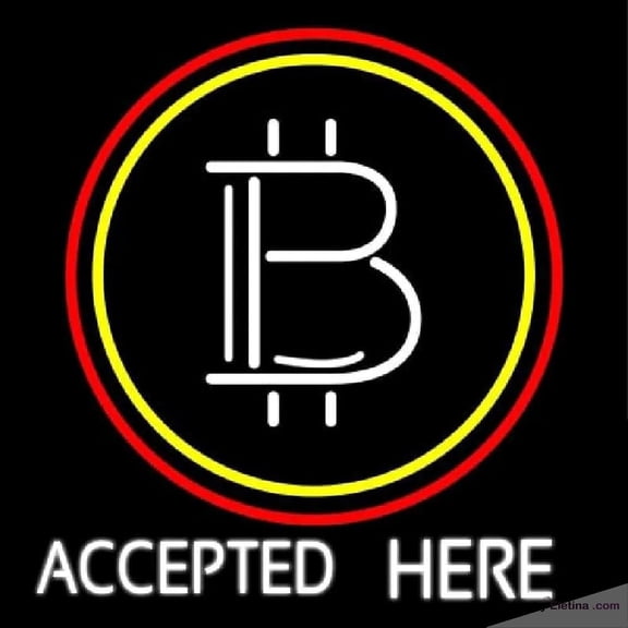 Neon Signs for Wall Decor Bitcoin Accepted Here Handmade Art Sign Neon Led Tubing16x20inch
