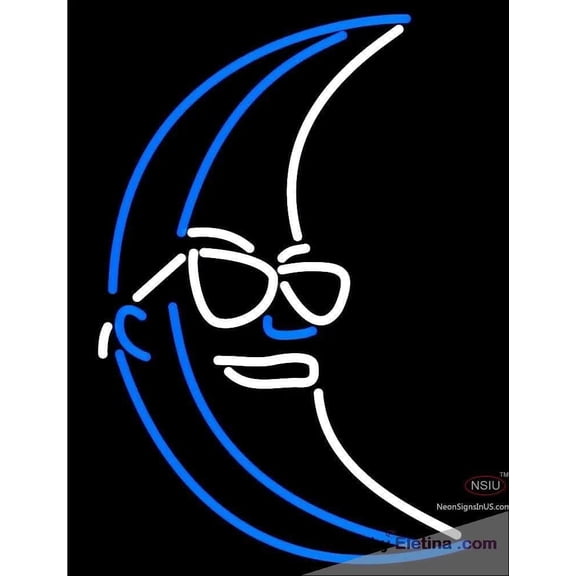 Neon Signs for Wall Decor Blue White Light Up Moon Handmade Art Sign Neon Led Tubing 15x17inch