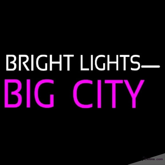 Neon Signs for Wall Decor Bright Lights Big City Handmade Art Sign Neon Led Tubing16x20inch