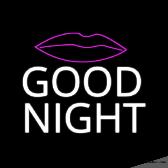 Neon Signs for Wall Decor Cool Cute Fashion Good Night Handmade Art Sign Neon Led Tubing16x20inch