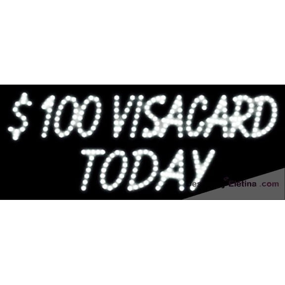 Neon Signs for Wall Decor Custom $ Visacard Today Handmade Art Sign Neon Led Tubing 15x17inch