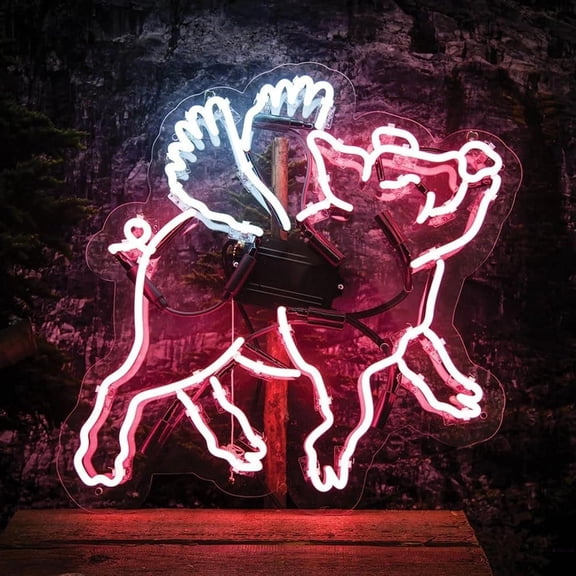 Neon Signs for Wall Decor Flying Pig Real Led Sign Home Ation 16x20inch Neon Tubing16x20inch
