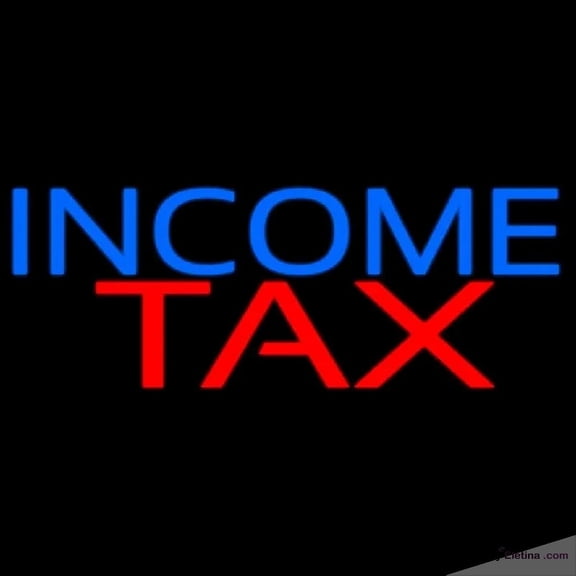 Neon Signs for Wall Decor Income Ta Handmade Art Sign Neon Led Tubing16x20inch