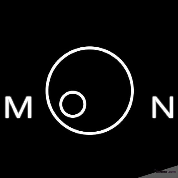 Neon Signs for Wall Decor Moon Logo Handmade Art Sign Neon Led Tubing16x20inch