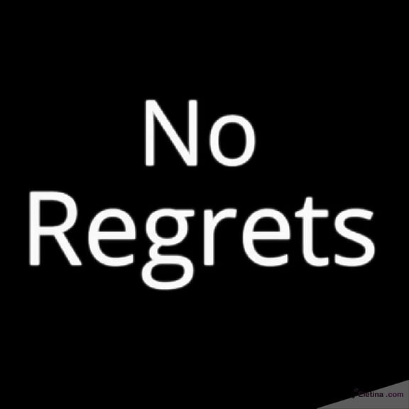 Neon Signs for Wall Decor No Regrets Handmade Art Sign Neon Led Tubing16x20inch