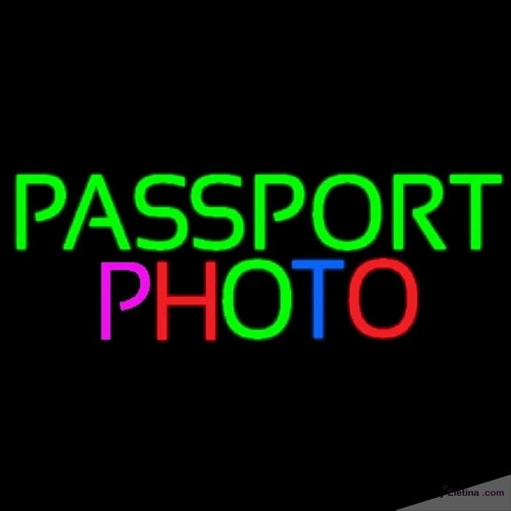 Neon Signs for Wall Decor Passport Photo Handmade Art Sign Neon Led Tubing16x20inch