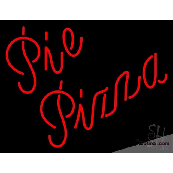 Neon Signs for Wall Decor Pie Pizza Sign Neon Led Tubing16x20inch