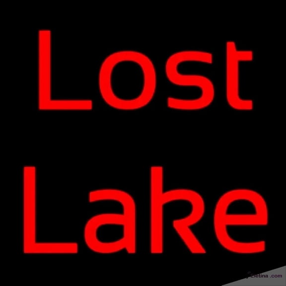 Neon Signs for Wall Decor Red Lost Lake Handmade Art Sign Neon Led Tubing16x20inch