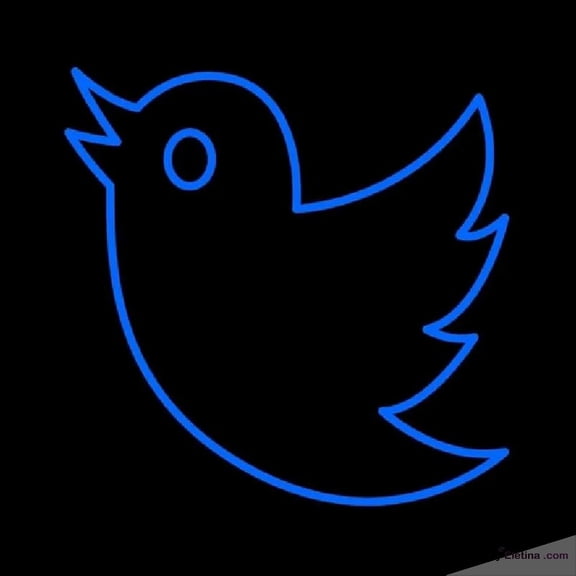 Neon Signs for Wall Decor Twitter Bird Logo Handmade Art Sign Neon Led Tubing16x20inch