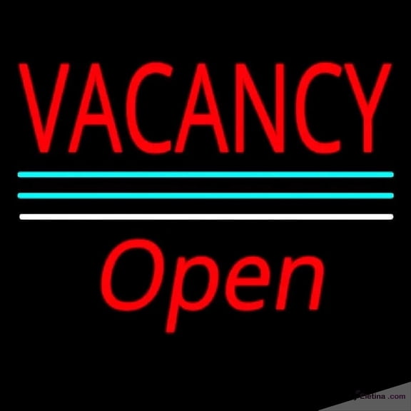 Neon Signs for Wall Decor Vacancy Script Open White Line Handmade Art Sign Neon Led Tubing16x20inch