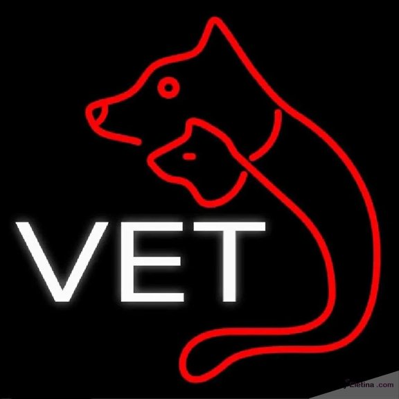 Neon Signs for Wall Decor Vet Veterinary Handmade Art Sign Neon Led Tubing16x20inch