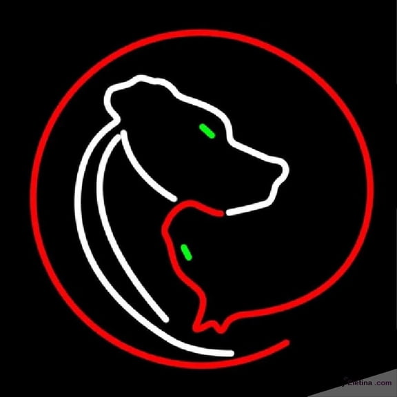 Neon Signs for Wall Decor Veterinary Care And Clinic Handmade Art Sign Neon Led Tubing16x20inch