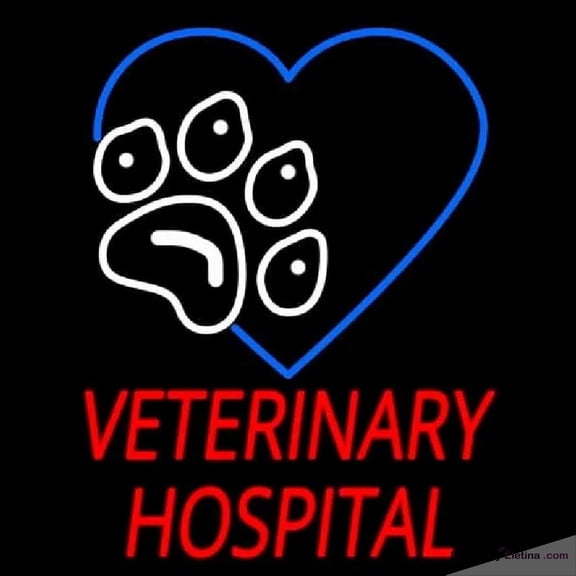 Neon Signs for Wall Decor Veterinary Hospital Handmade Art Sign Neon Led Tubing16x20inch